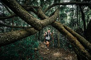 BIB: 
                            <button type="button" onclick="openModal(25664801)" class="btn btn-primary btn-sm float-right btn-popup" data-toggle="modal" data-target=".modal-high-quality">
                        <i class="fas fa-shopping-cart"></i> Add to Cart
                    </button>
                                            <button type="button" onclick="isThisMe(25664801, true)" class="btn btn-success btn-sm float-right btn-popup btn-isme hidden" data-toggle="tooltip" data-placement="bottom" title="นี่คือรูปของคุณใช่ไหม คลิกที่นี่เพื่อเอาเข้าอัลบั้ม">
                        <i class="fas fa-plus"></i> Add to album
                    </button>
                    <button type="button" onclick="isThisMe(25664801, false)" class="btn btn-warning btn-sm float-right btn-popup btn-isnotme hidden">
                        <i class="fas fa-ban"></i> Remove from album
                    </button>